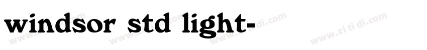 windsor std light字体转换